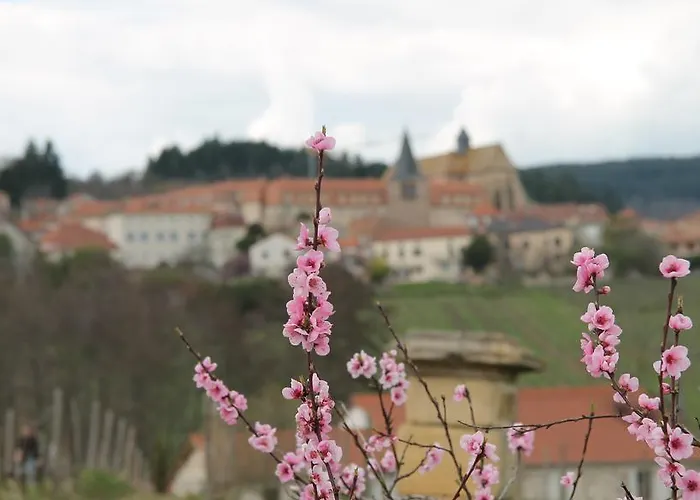 Bed & Breakfast Le Lancelot 3*